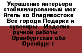 Украшение интерьера стабилизированный мох Ягель во Владивостоке - Все города Подарки и сувениры » Изделия ручной работы   . Оренбургская обл.,Оренбург г.